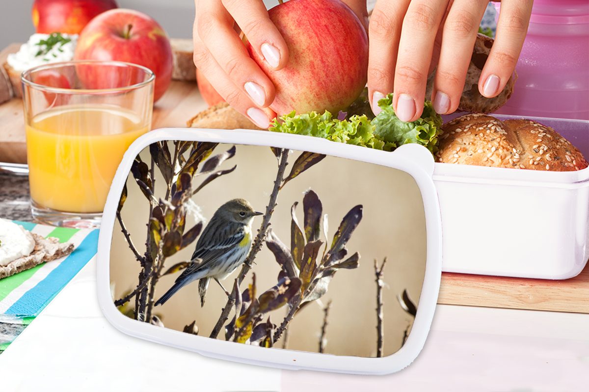 MuchoWow Lunchbox für Zweig für mit Kinder Erwachsene, Kunststoff, weiß Brotbox und einem Mädchen zwischen (2-tlg), Brotdose, Blättern, Vogel Jungs und