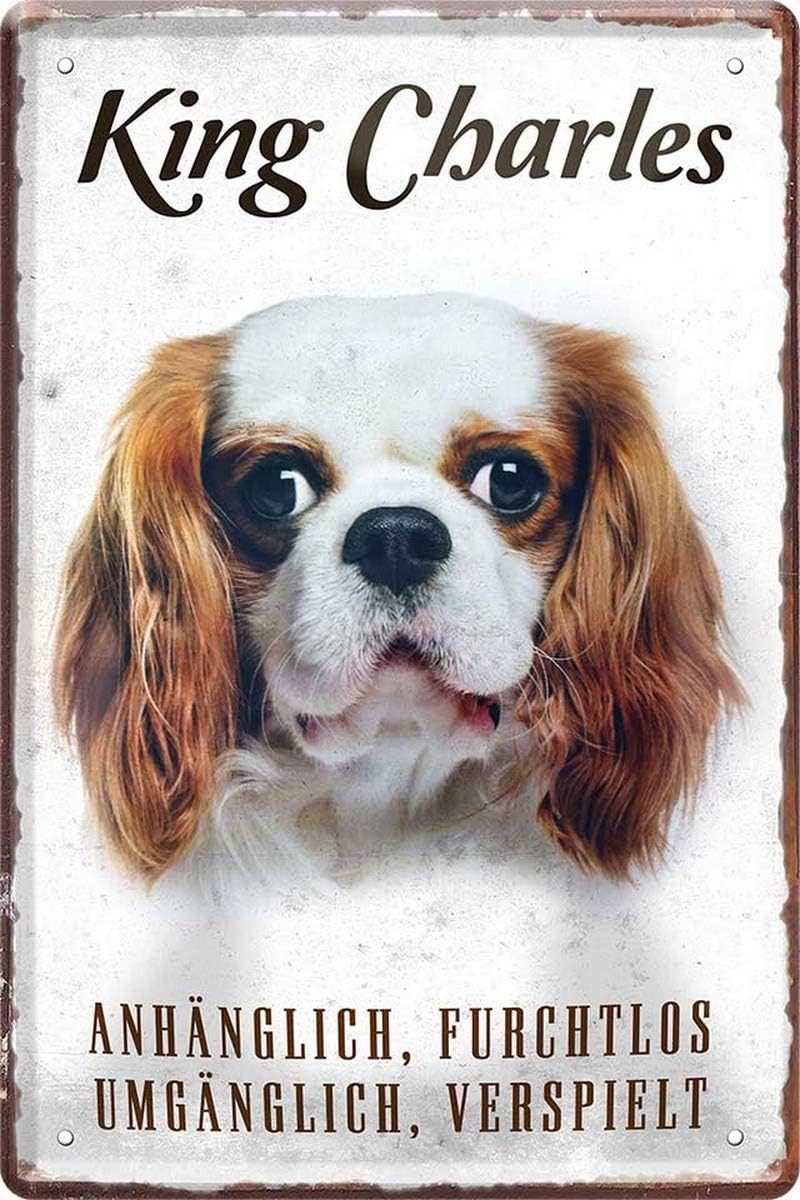 WOGEKA ART Metallbild Hunde-Rassen Steckbrief 20 x 30 cm Blechschild Haustier Hund Deko, King Charles