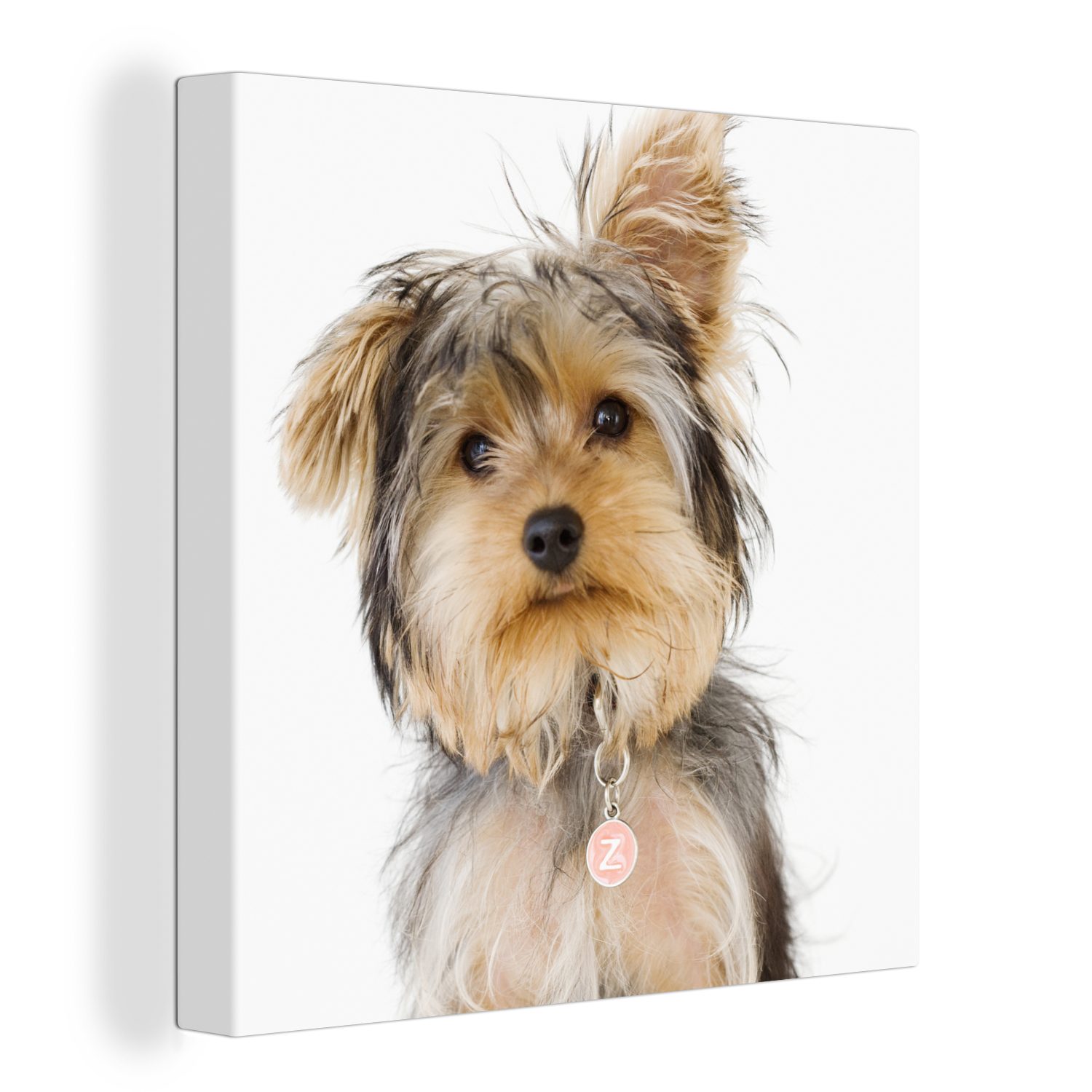 OneMillionCanvasses® Leinwandbild Porträt eines Yorkshire-Terriers, (1 St), Leinwand Bilder für Wohnzimmer Schlafzimmer