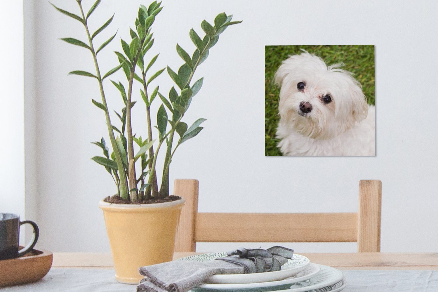 Schlafzimmer Bilder St), auf, Wohnzimmer Malteserhund Leinwand OneMillionCanvasses® Leinwandbild für schaut (1