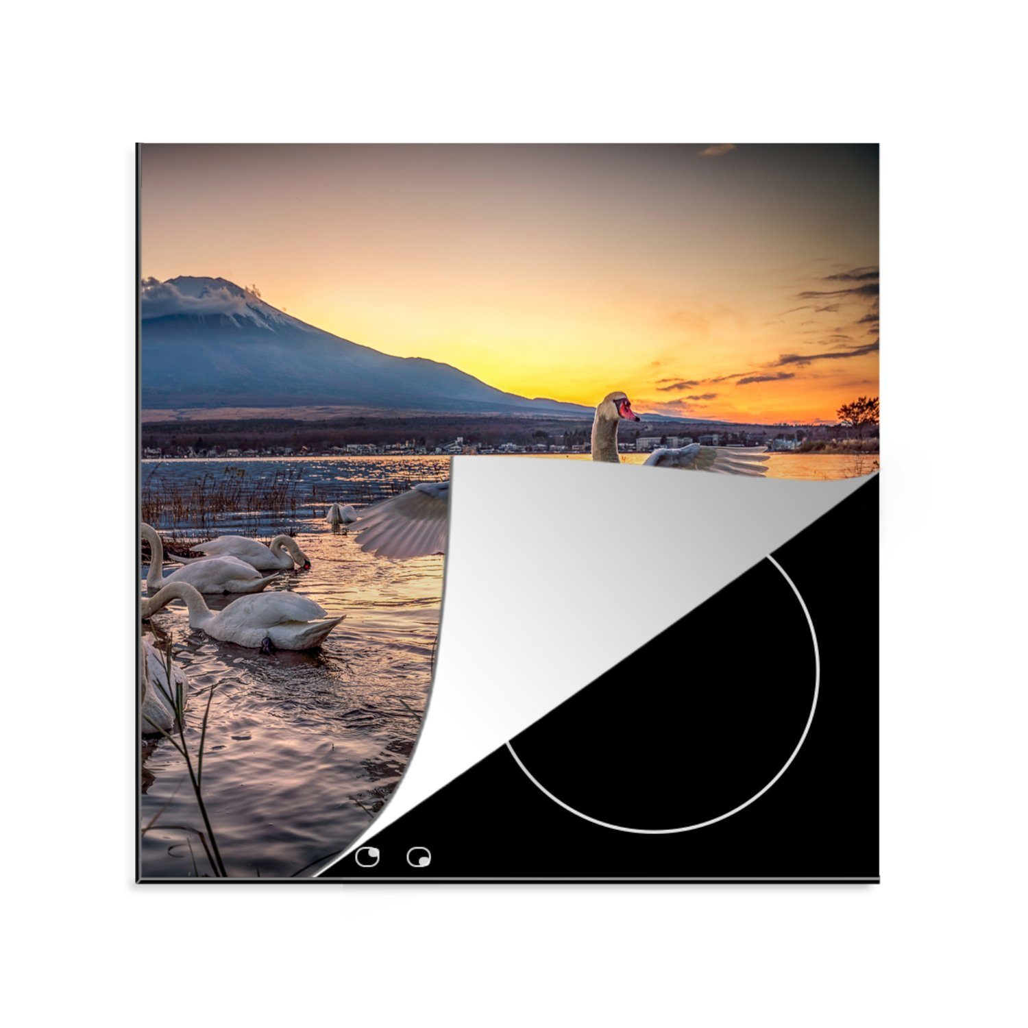 MuchoWow Herdblende-/Abdeckplatte Schwäne - Flügel - Sonnenuntergang, Vinyl, (1 tlg), 78x78 cm, Ceranfeldabdeckung, Arbeitsplatte für küche