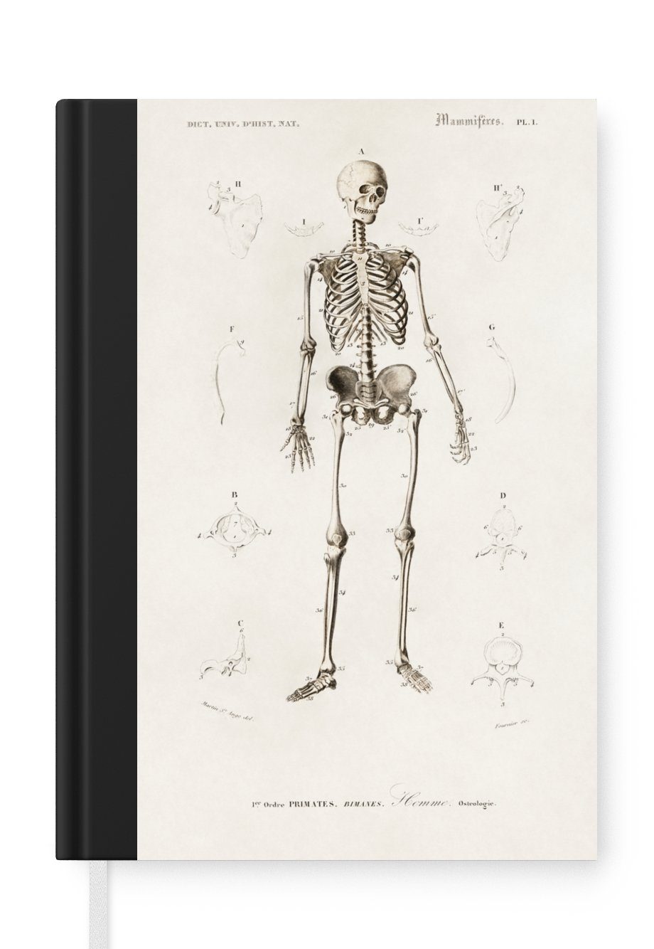 MuchoWow Notizbuch Skelett - Jahrgang - Knochen, Journal, Merkzettel, Tagebuch, Notizheft, A5, 98 Seiten, Haushaltsbuch
