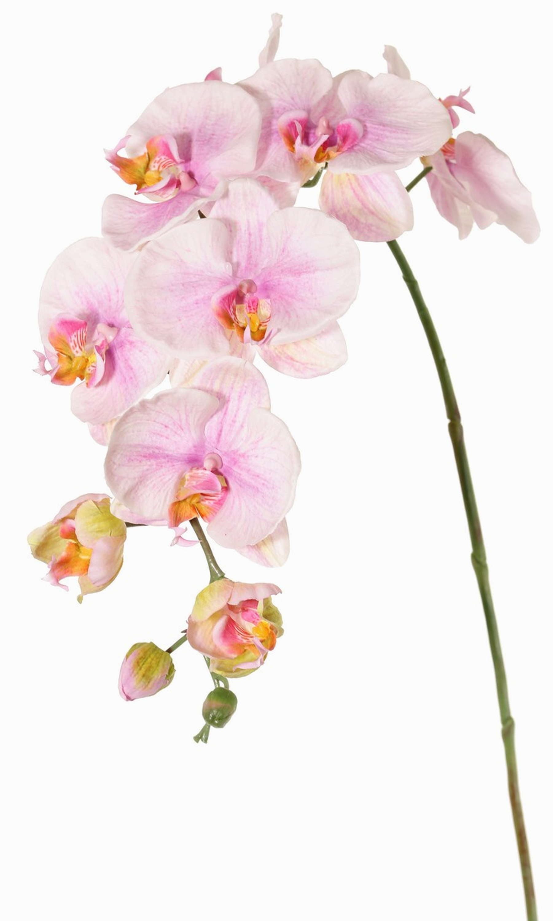 Kunstorchidee Kunststoff Phalaenopsis Orchidee WESA, rosa-weiß, 100cm Orchidee (Orchidee phalaenopsis), artplants, Höhe 90.0 cm