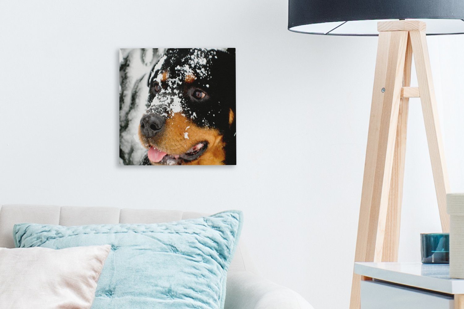 für Bilder Wohnzimmer Schnee, Leinwandbild im (1 St), Leinwand OneMillionCanvasses® Schlafzimmer Rottweiler Schöner