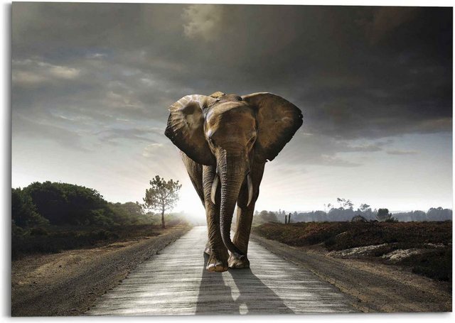 Reinders! Wandbild »Elefantenkönig Tiermotiv - Elefant - Natur«, (1 Stück)-Otto