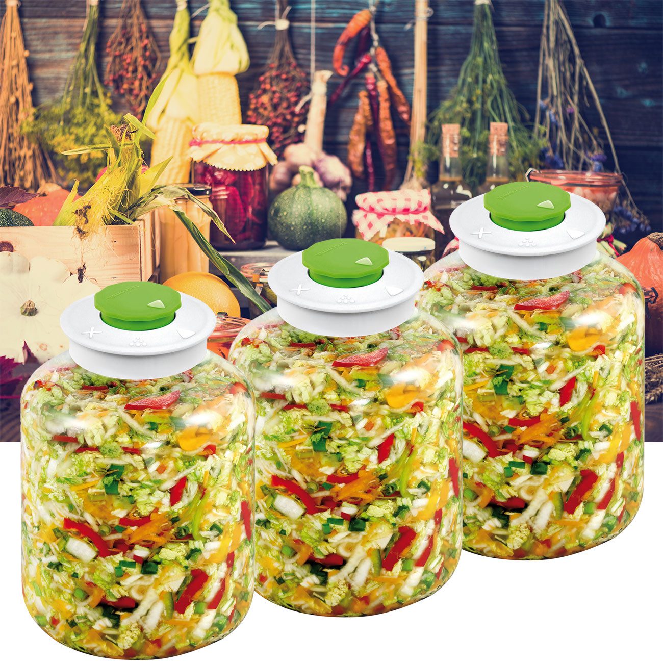 Fermentationsgläser online kaufen