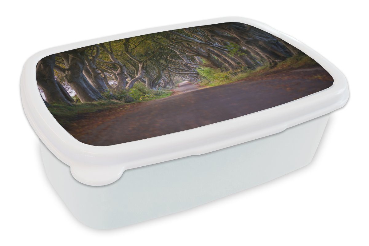 MuchoWow Lunchbox Naturtunnel in Irland, Kunststoff, (2-tlg), Brotbox für Kinder und Erwachsene, Brotdose, für Jungs und Mädchen weiß