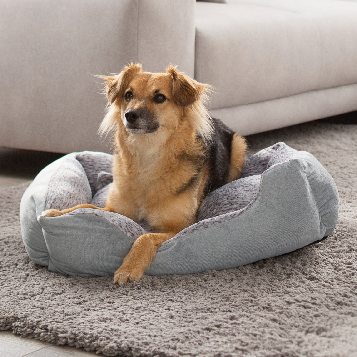 PETSTUFF Tierbett Hundebett Hundematratze Hundekissen Tierkissen, günstig online kaufen