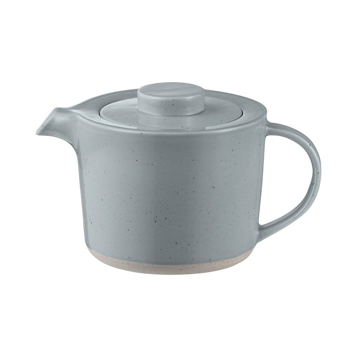 blomus Teekanne -SABLO- Kanne mit Filter: Hochwertiges Design & Funktionalität, 1 l, 1000ml, pflegeleicht, tropffrei, Filter, spülmaschinengeeignet, Unikat
