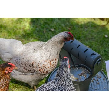 Beeztees Futterspender Spiel- und Snackturm für Hühner 30x30x30 cm Grau