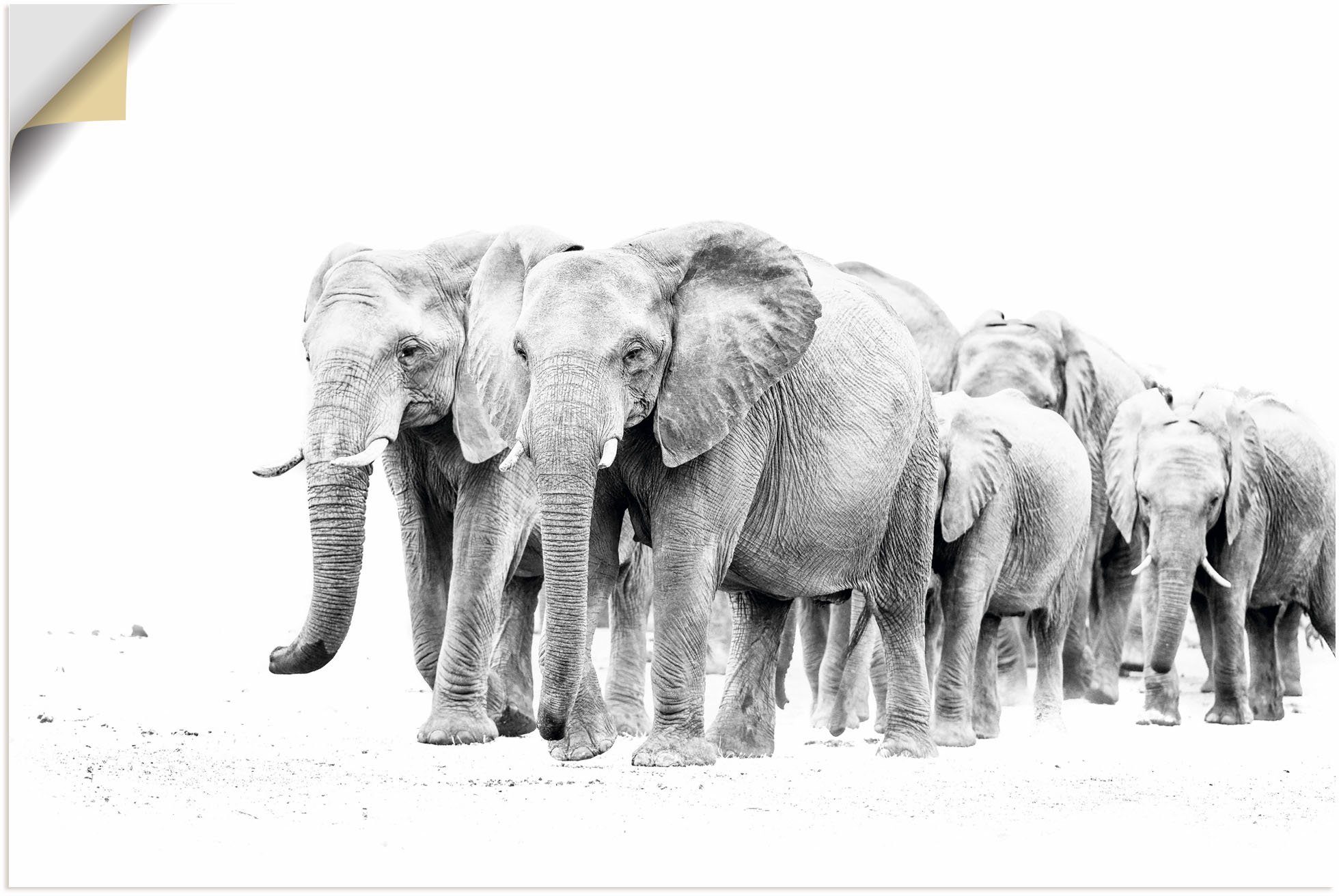 Artland Wandbild Karawane der Eefanten, Elefanten Bilder (1 St), als Alubild, Leinwandbild, Wandaufkleber oder Poster in versch. Größen