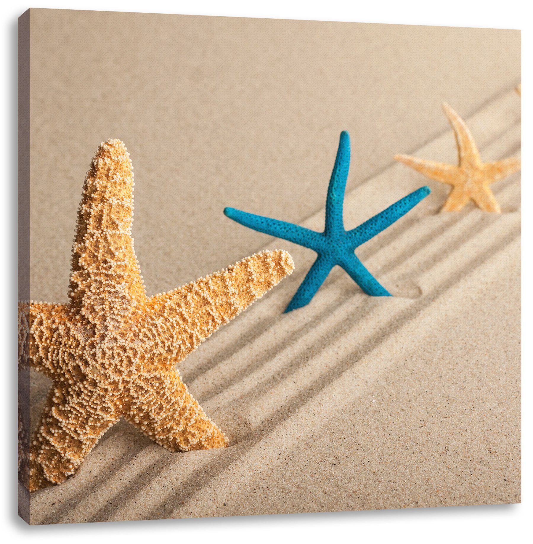 Pixxprint Leinwandbild Seesterne im Sand, Seesterne im Sand (1 St), Leinwandbild fertig bespannt, inkl. Zackenaufhänger