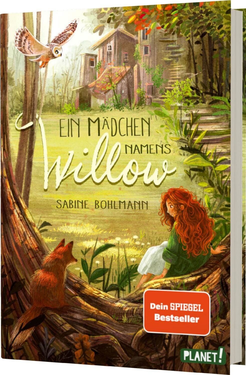 Ein Mädchen namens Willow 1: Ein Mädchen namens Willow / Sabine Bohlmann