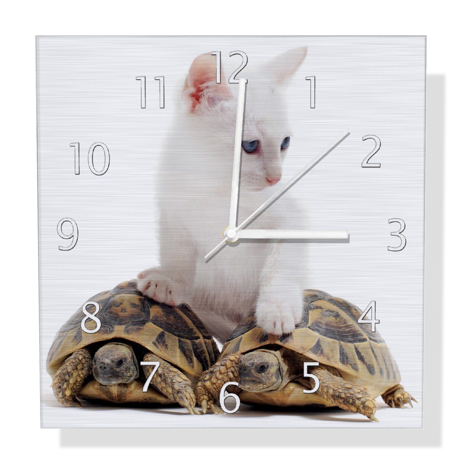 Wanduhr Katze auf Schildkröten