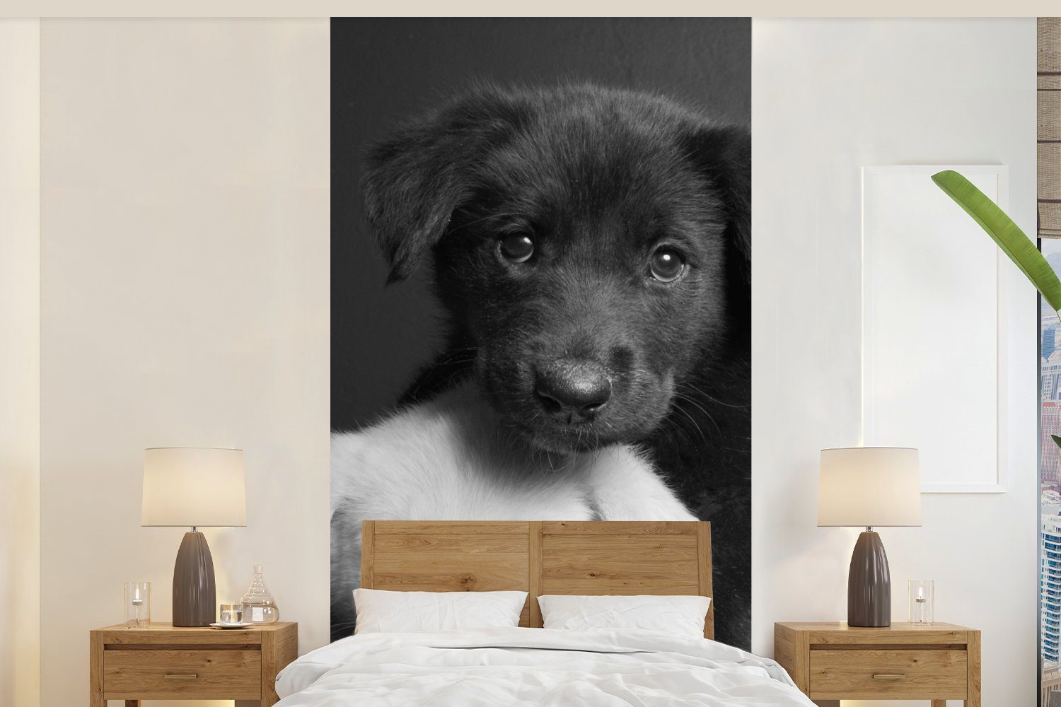 MuchoWow Fototapete Hunde - Welpe - Schwarz - Weiß - Tiere, Matt, bedruckt, (2 St), Vliestapete für Wohnzimmer Schlafzimmer Küche, Fototapete