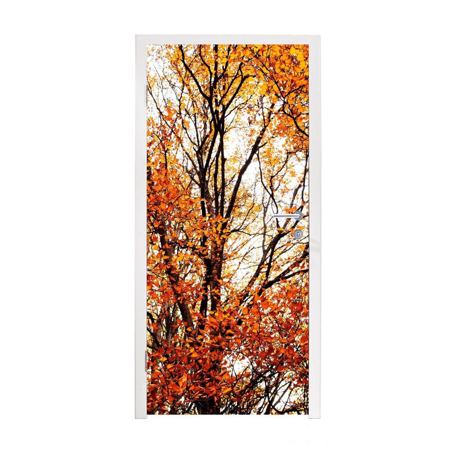 MuchoWow Türtapete Wald - Herbst - Jahreszeiten, Matt, bedruckt, (1 St), Fototapete für Tür, Türaufkleber, 75x205 cm