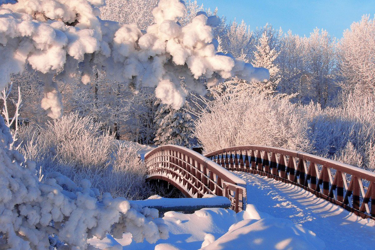 Papermoon Winterbrücke Fototapete