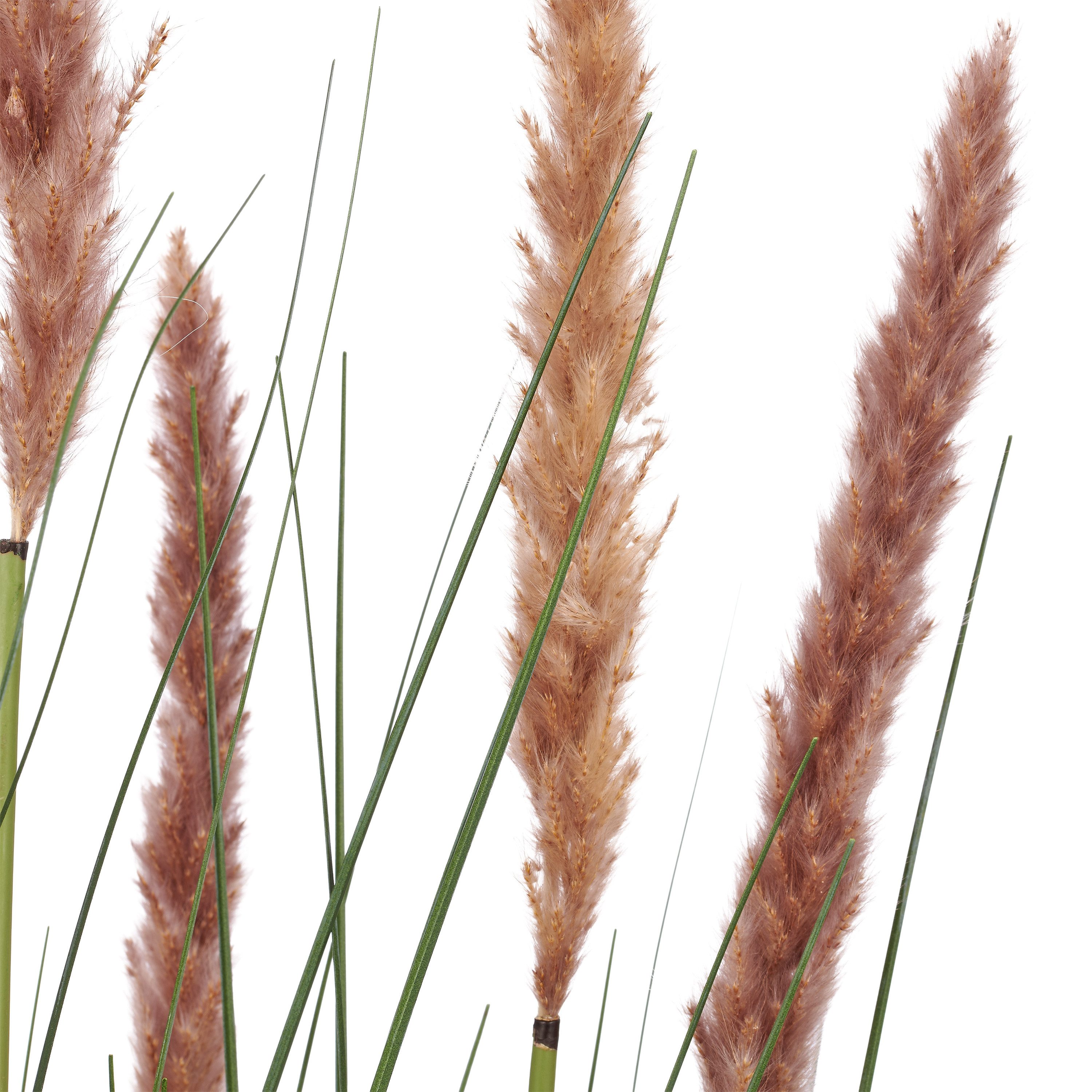 Kunstgras Grasbusch Cortaderia selloana, Creativ green, Höhe 95 cm, mit Naturwedeln – Bild 2 von 2