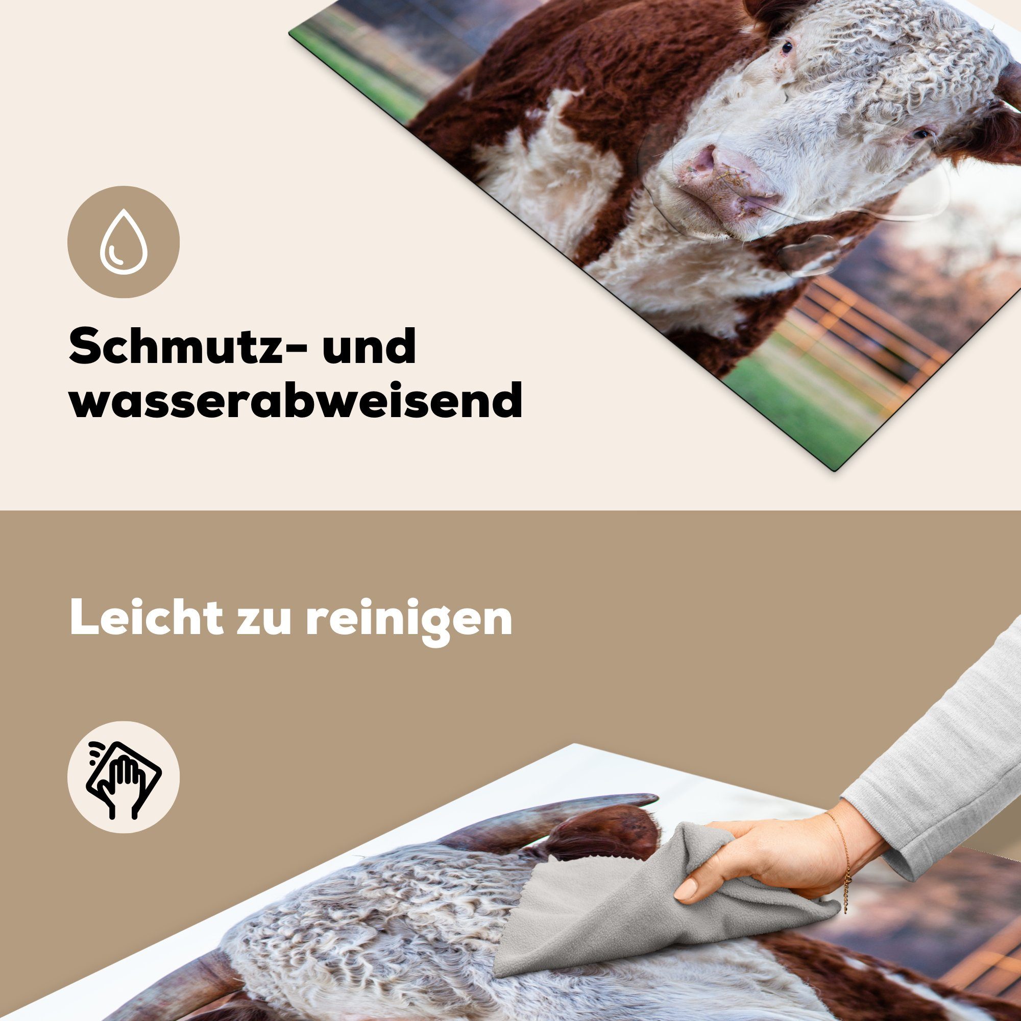 Induktionskochfeld (1 die Schutz cm, Vinyl, tlg), Ceranfeldabdeckung für Ein küche, 81x52 MuchoWow Stier, Herdblende-/Abdeckplatte braun-weißer