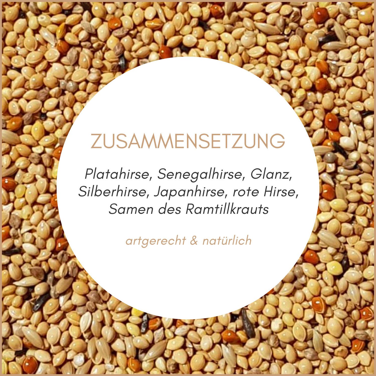 Supravit Exotenfutter - Hochwertiges Mischfutter für exotische Finken, Hauptfutter für: Ziervogel