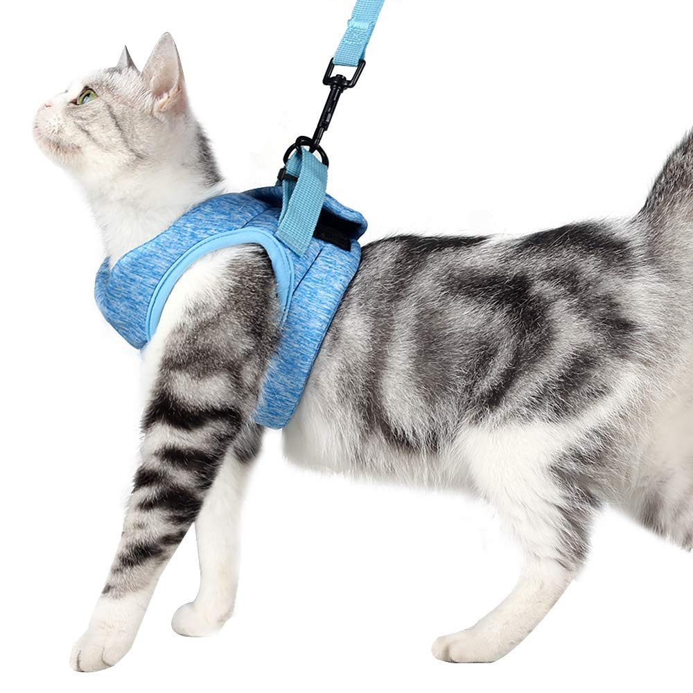 MOPUEA Katzen-Geschirr Katzengeschirr mit Leine Verstellbar,leicht,ausbruchsicher&komfortabel von MOPUEA