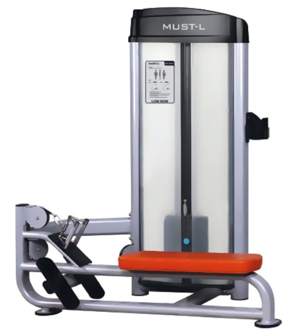 Trainingsstation Rudergerät Rudermaschine Ruderzugmaschine Oberkörper Fitness