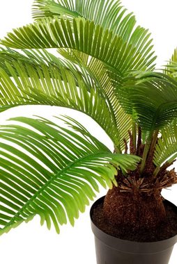 Kunstpflanze Palmfarn Cycas Kunstpflanze 59 cm, fleur ami, Höhe 59 cm