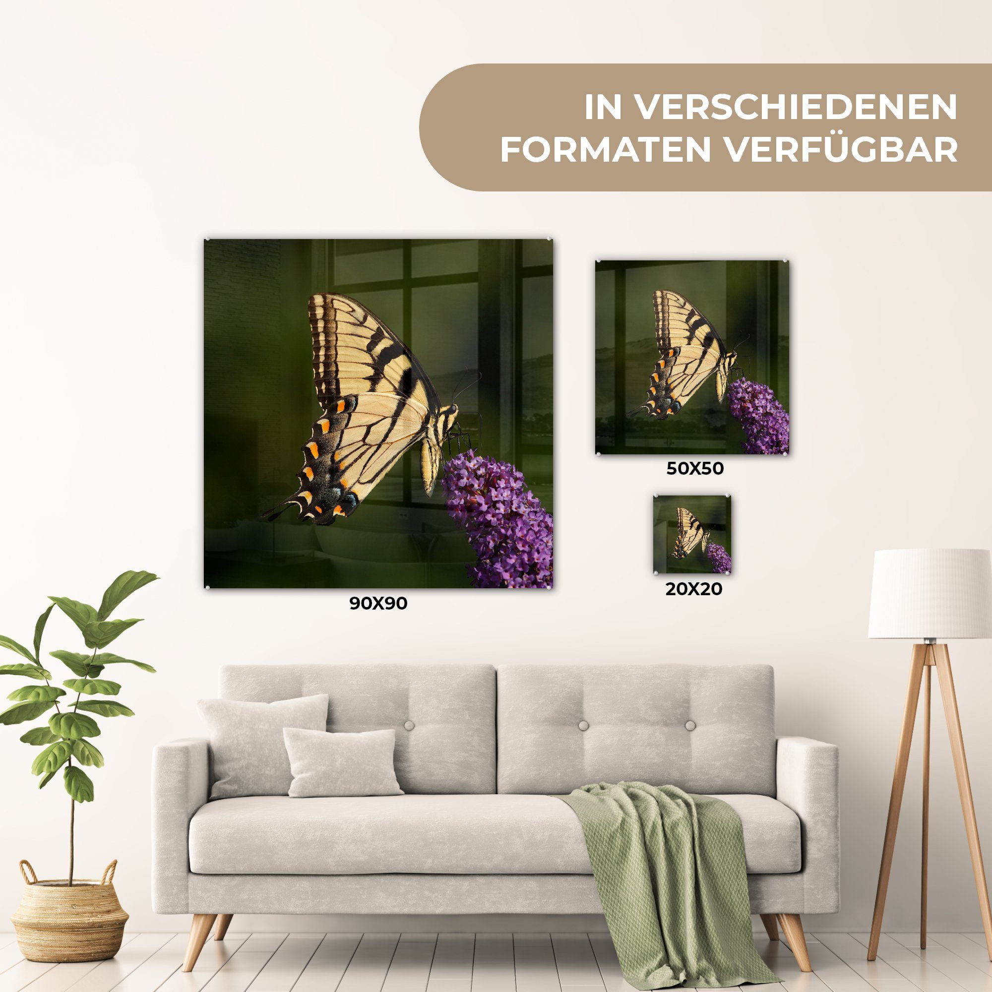 MuchoWow Acrylglasbild Papilio Schmetterling - Bilder Wanddekoration lila auf auf St), Glas auf Schmetterlingsstrauch, Wandbild - Glasbilder glaucus einem Glas Foto - (1