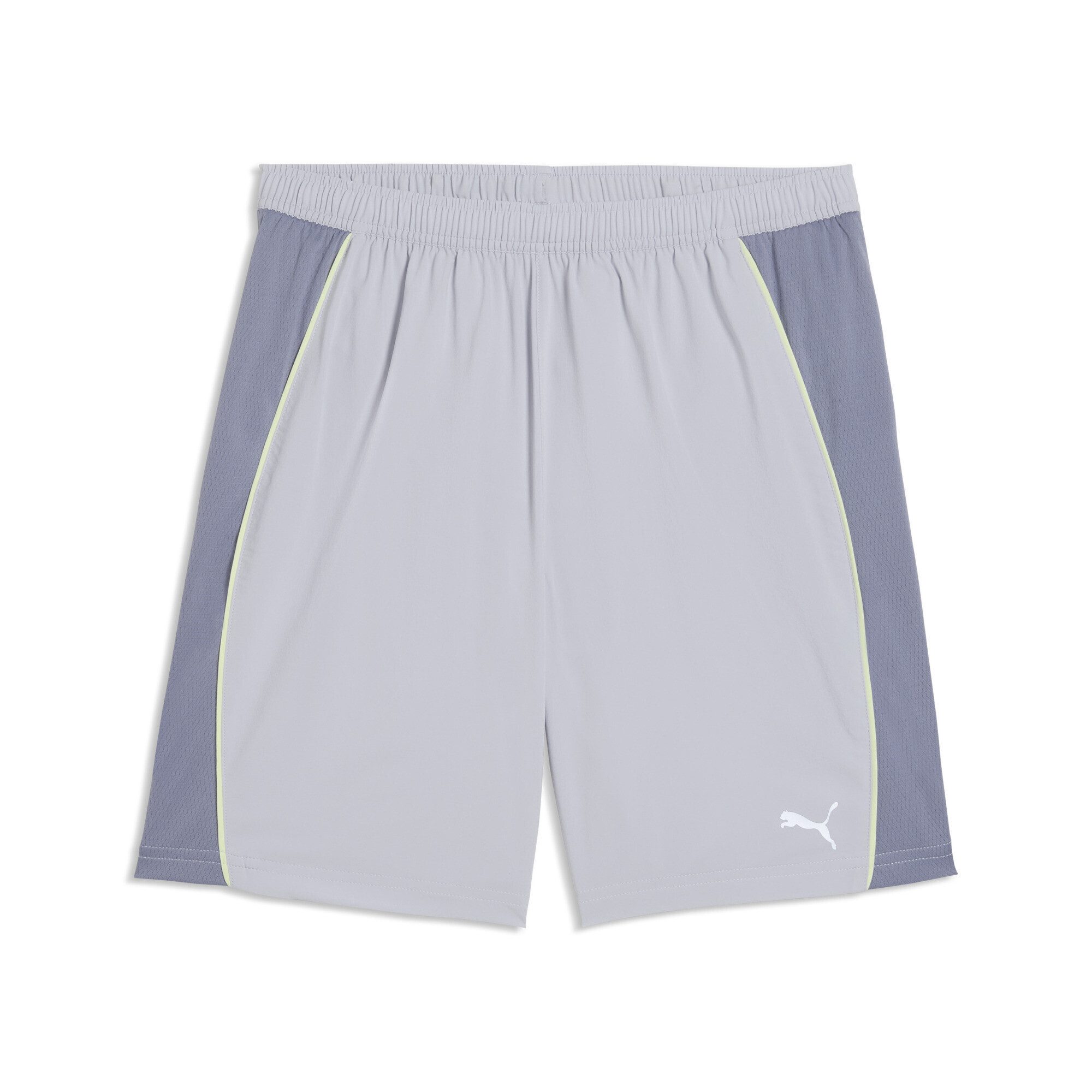 Vibrant Silver Gray