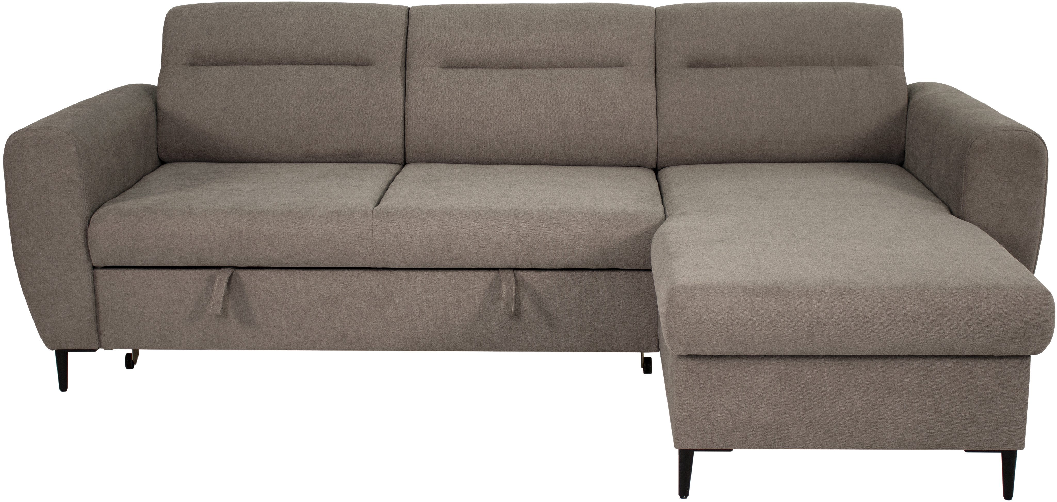 Trends by HG Ecksofa Bella L-Form, B: 248 cm, mit Bettfunktion & Bettkasten