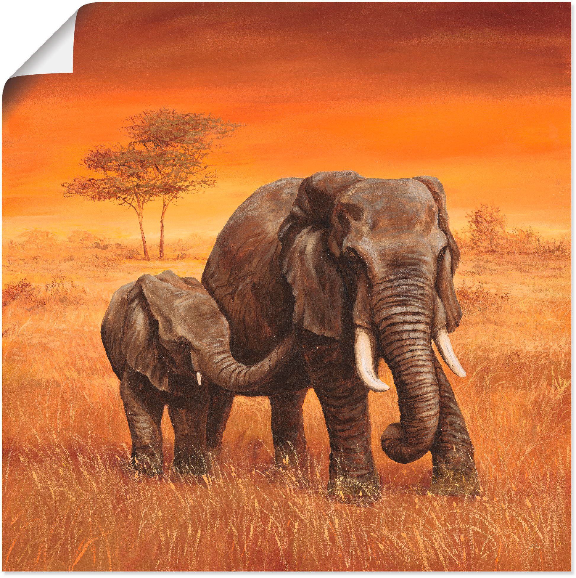 St), Poster als versch. (1 Wildtiere Alubild, Wandaufkleber Größen Elefanten Wandbild in Artland Leinwandbild, II, oder