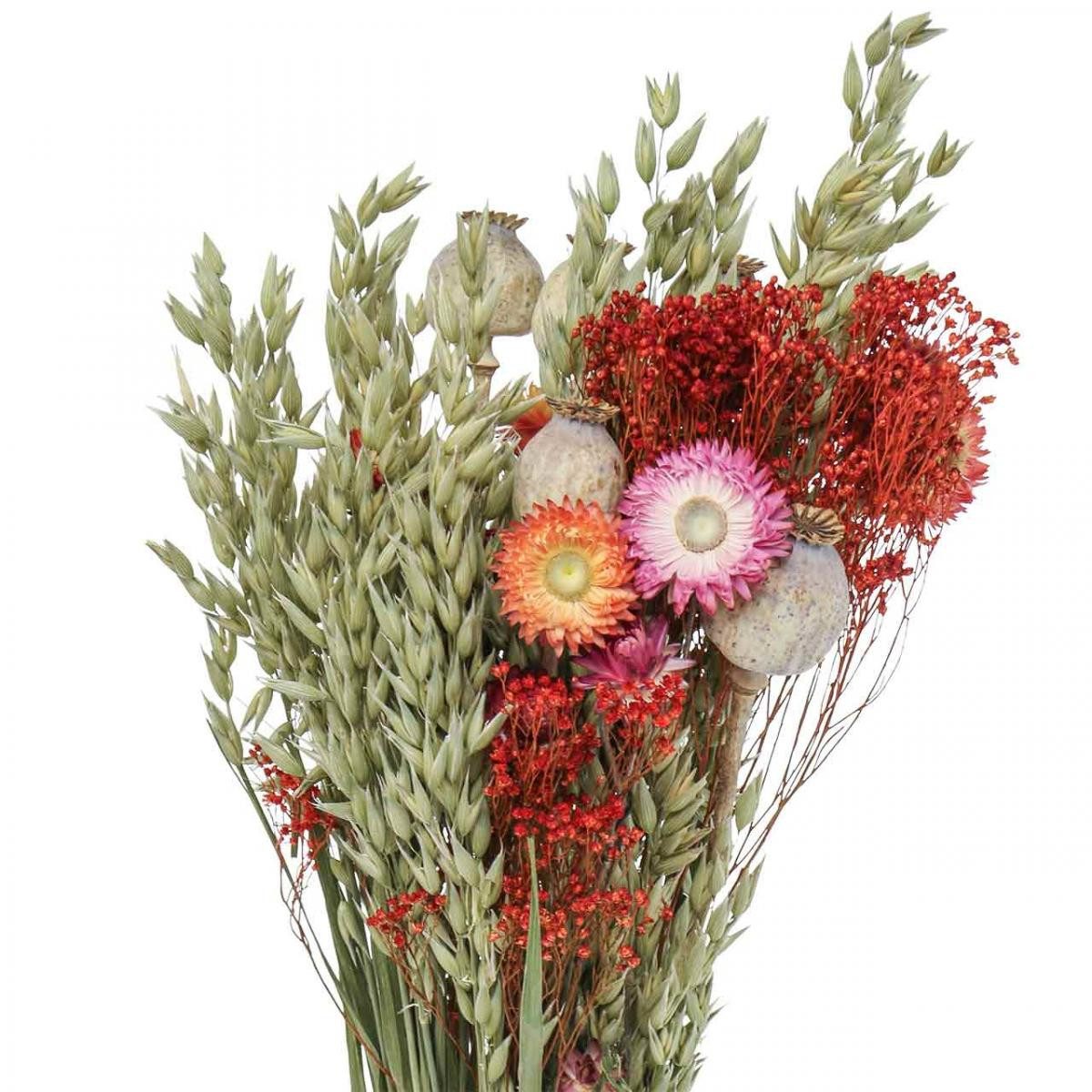 Trockenblume Trockenblumenstrauß Wiesenblumen Deko Natur Rot Orange Grün Gelb, Viana