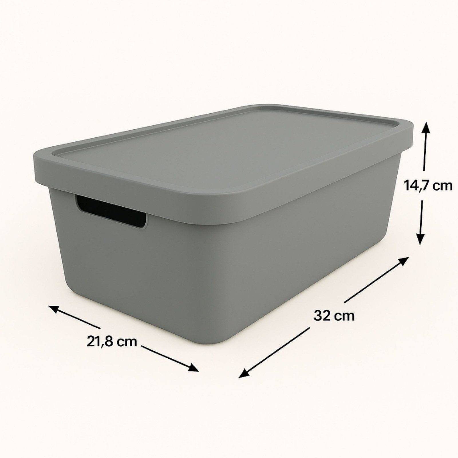 Plastard Aufbewahrungsbox mit Deckel von 7,5 günstig online kaufen