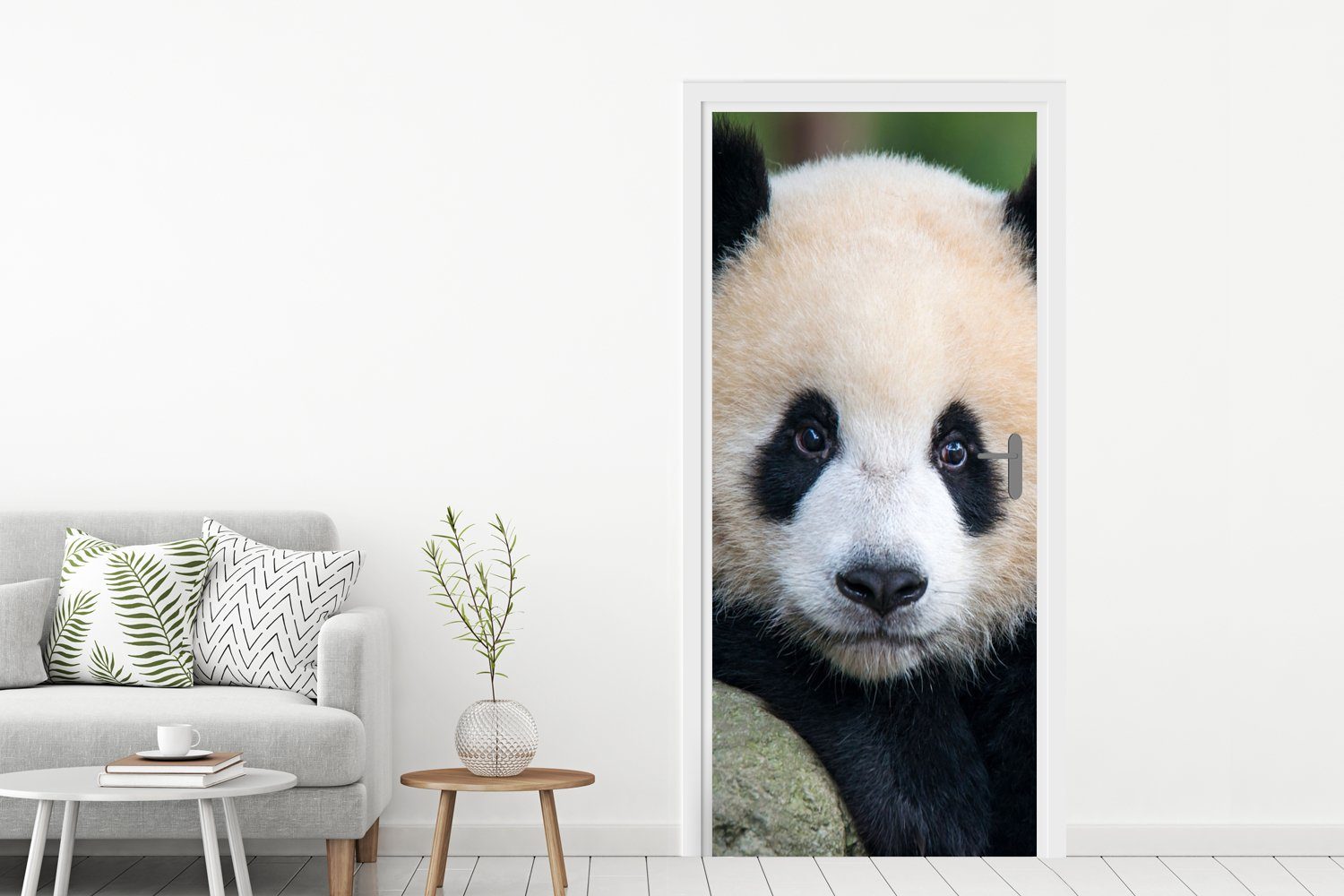 MuchoWow Türtapete Panda Matt, St), - 75x205 (1 Fototapete Tür, bedruckt, Türaufkleber, - - cm Stein, für Wildtiere Porträt