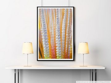 Sinus Art Poster 60x90cm Poster Naturfotografie  Künstliche Blumen aus Kalkutta