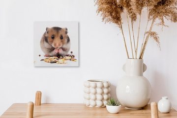 OneMillionCanvasses® Leinwandbild Hamster frisst Samen, (1 St), Leinwand Bilder für Wohnzimmer Schlafzimmer