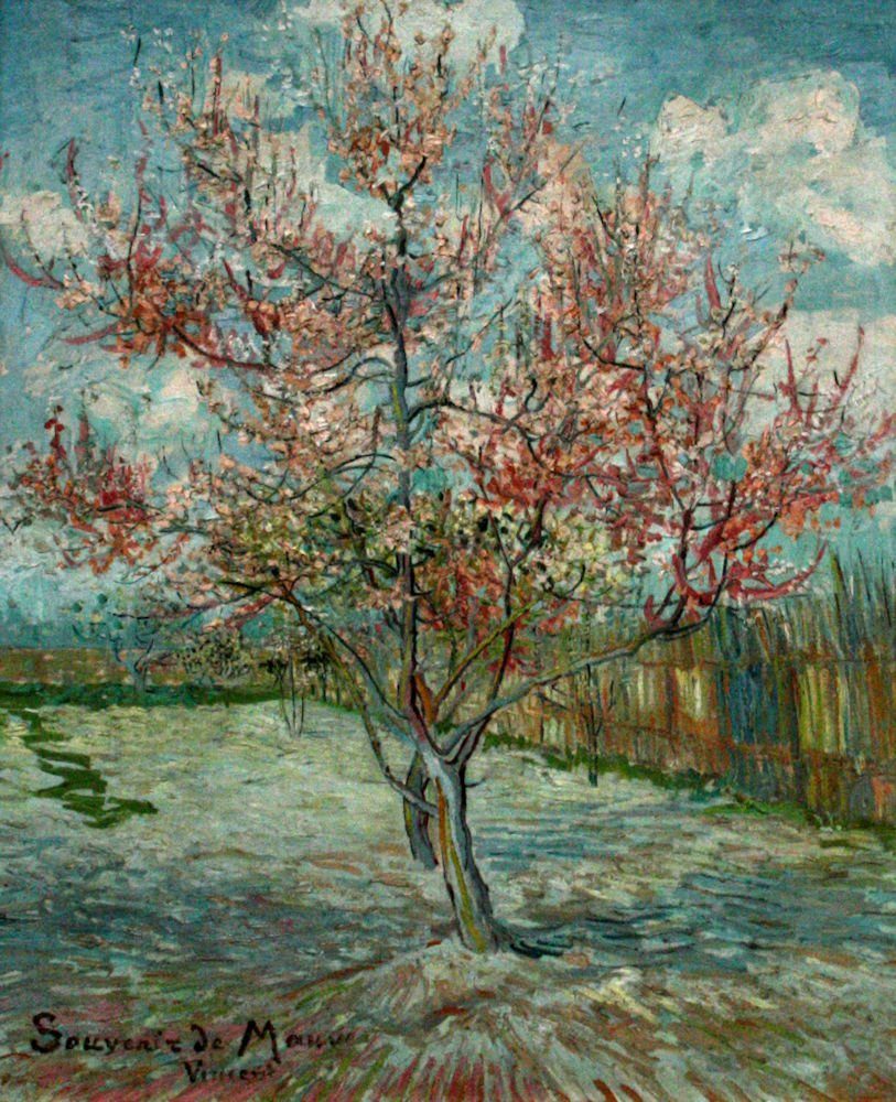 Set) Tintenroller Souvenir Visconti Visconti Mauve Gogh de Tintenroller van Pink, eleganter Kappe (kein
