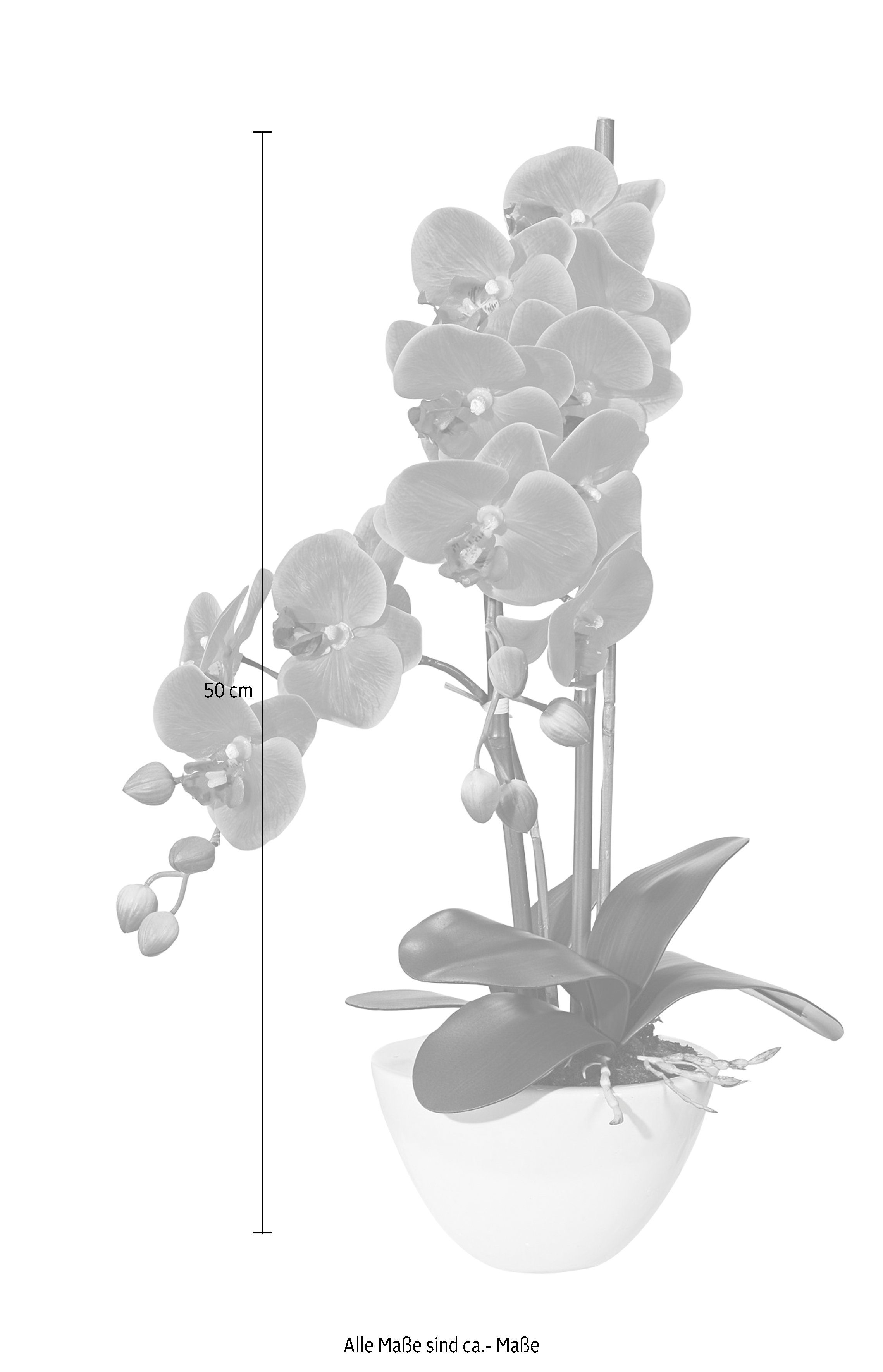 Kunstpflanze Orchidee green, Höhe lila 50 cm Orchidee, Creativ