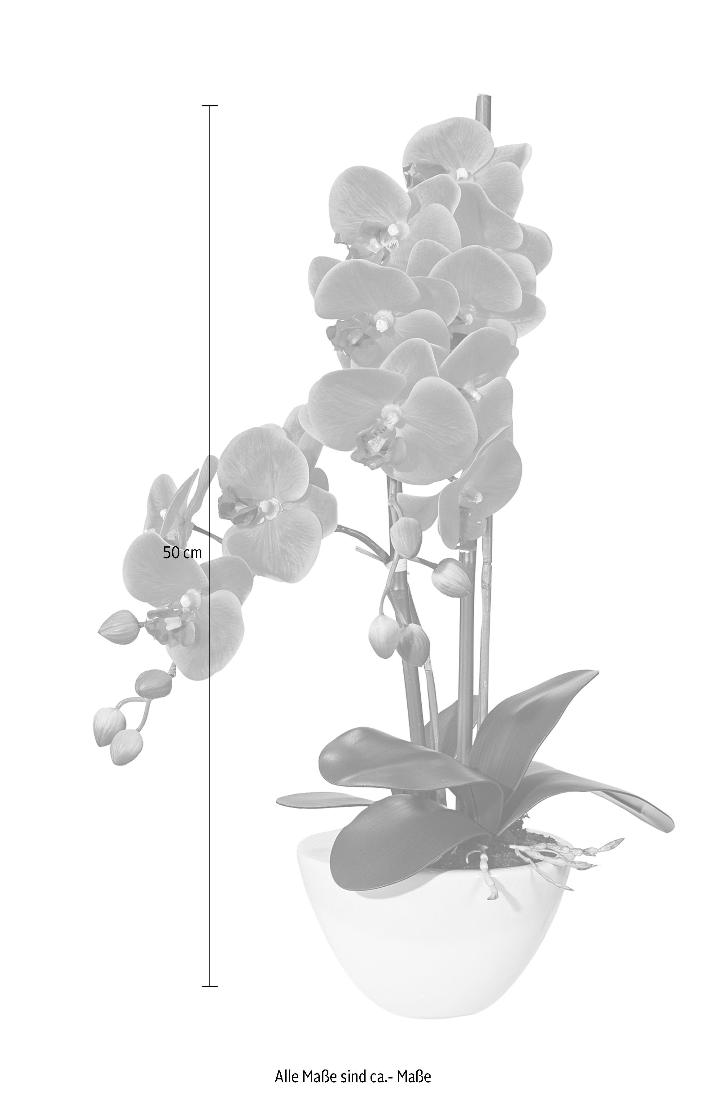 Kunstpflanze Orchidee Orchidee, Creativ green, Höhe günstig online kaufen
