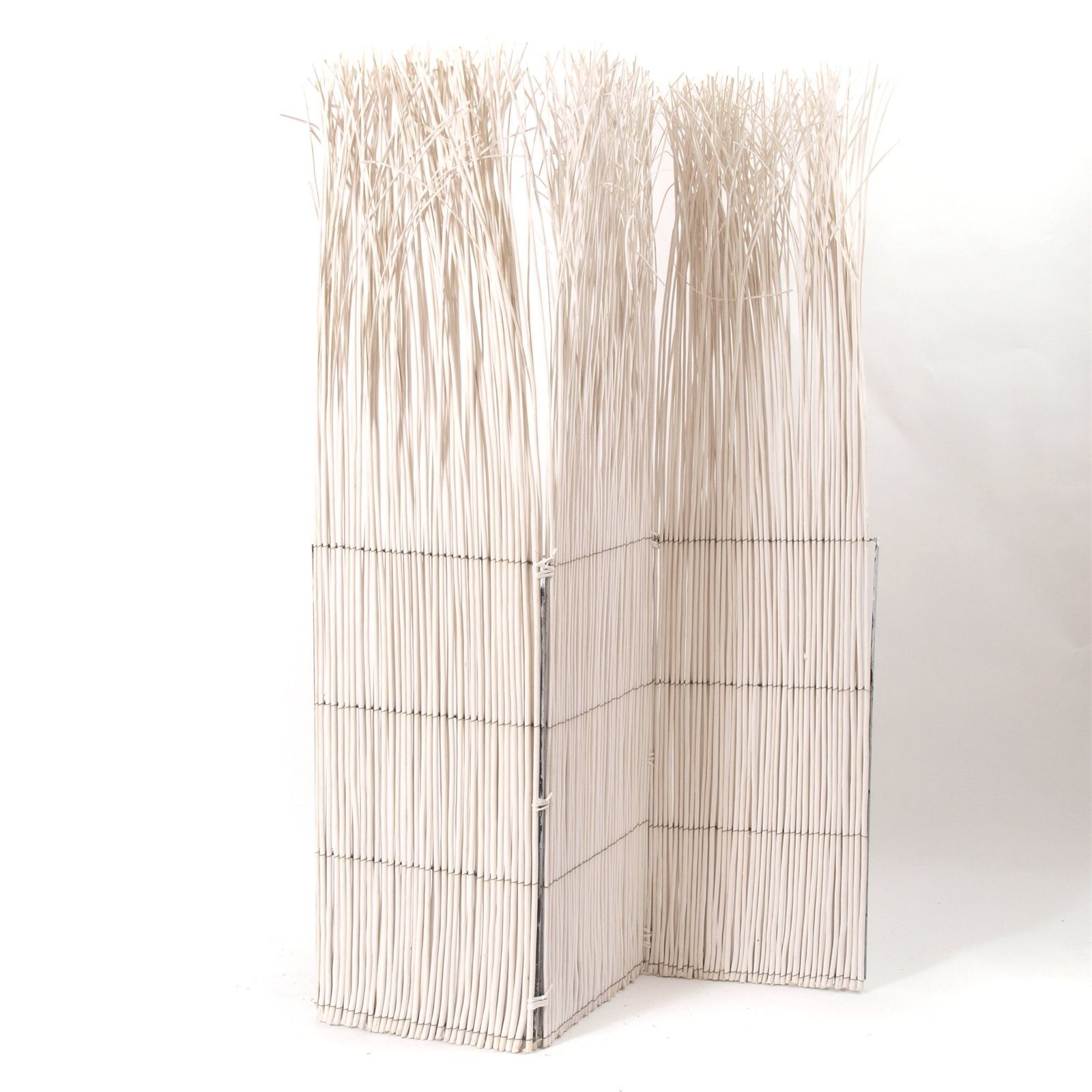 DESIGN DELIGHTS Paravent PARAVENT NATURE, weiß, 160X120CM (LXB) WEIDE, RAUMTRENNER,TRENNWAND
