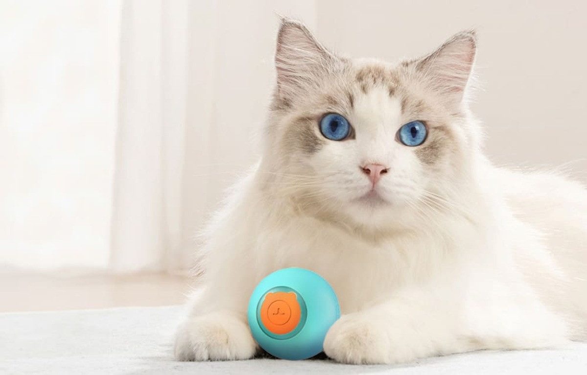 ROJECO Tier-Intelligenzspielzeug Rojeco Interaktiver Katzenball grün, 100% günstig online kaufen