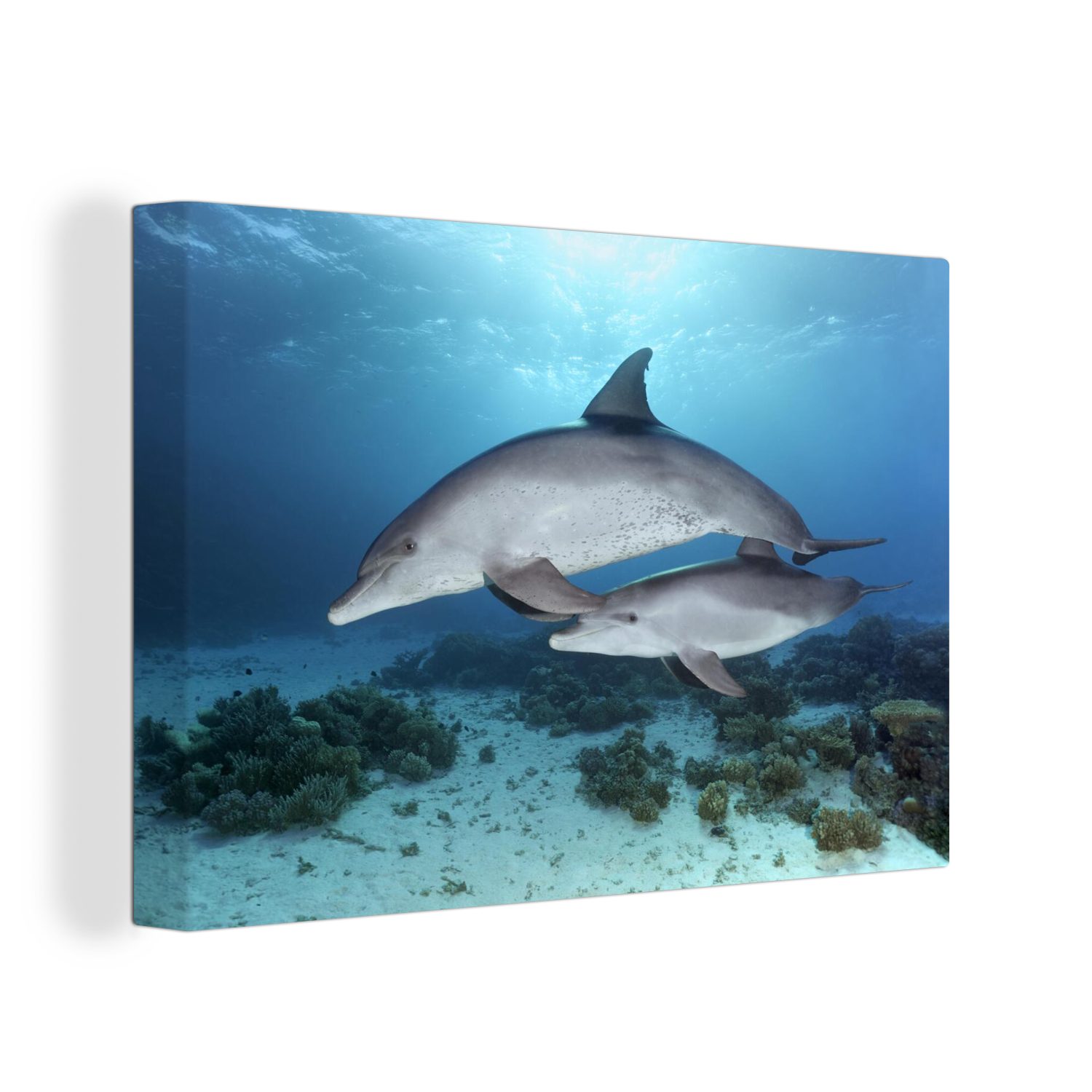 OneMillionCanvasses® Leinwandbild Delfin - Kalb - Meer, (1 St), Wandbild Leinwandbilder, Aufhängefertig, Wanddeko, 30x20 cm