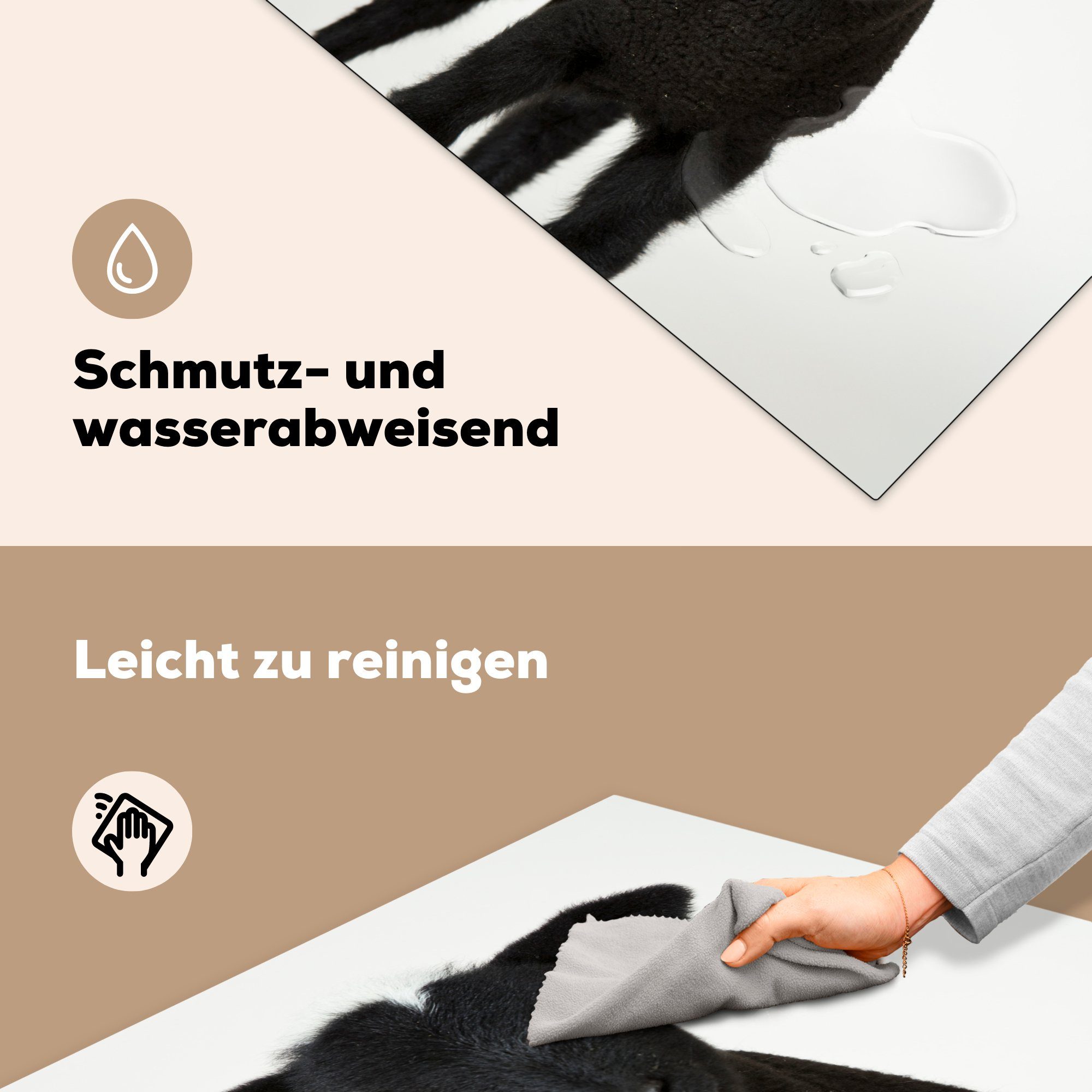 küche Vinyl, weißem cm, (1 Ceranfeldabdeckung, 78x78 auf Herdblende-/Abdeckplatte schwarzes Arbeitsplatte tlg), MuchoWow für Lamm Schönes Hintergrund,