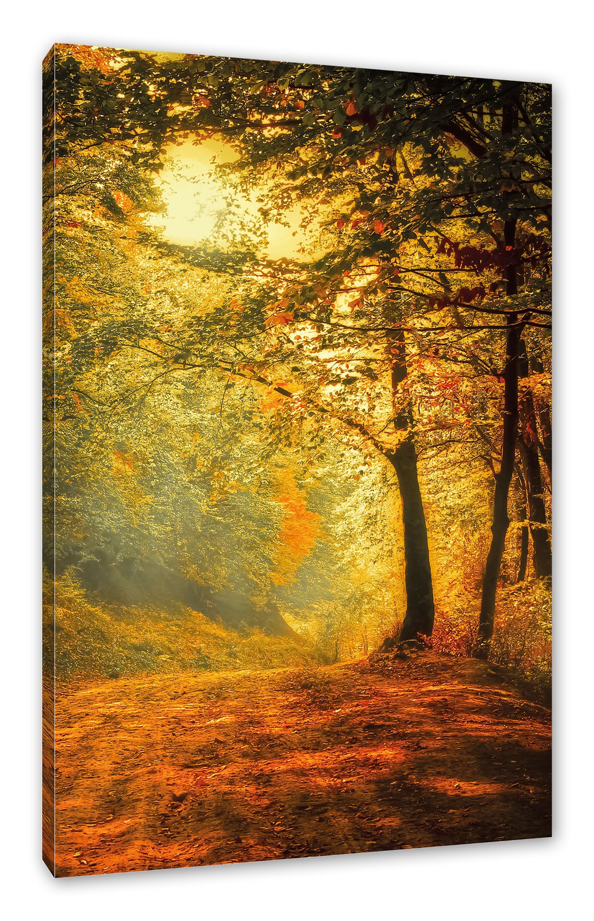 Pixxprint Leinwandbild Wald im Herbst, Wald im Herbst (1 St), Leinwandbild fertig bespannt, inkl. Zackenaufhänger