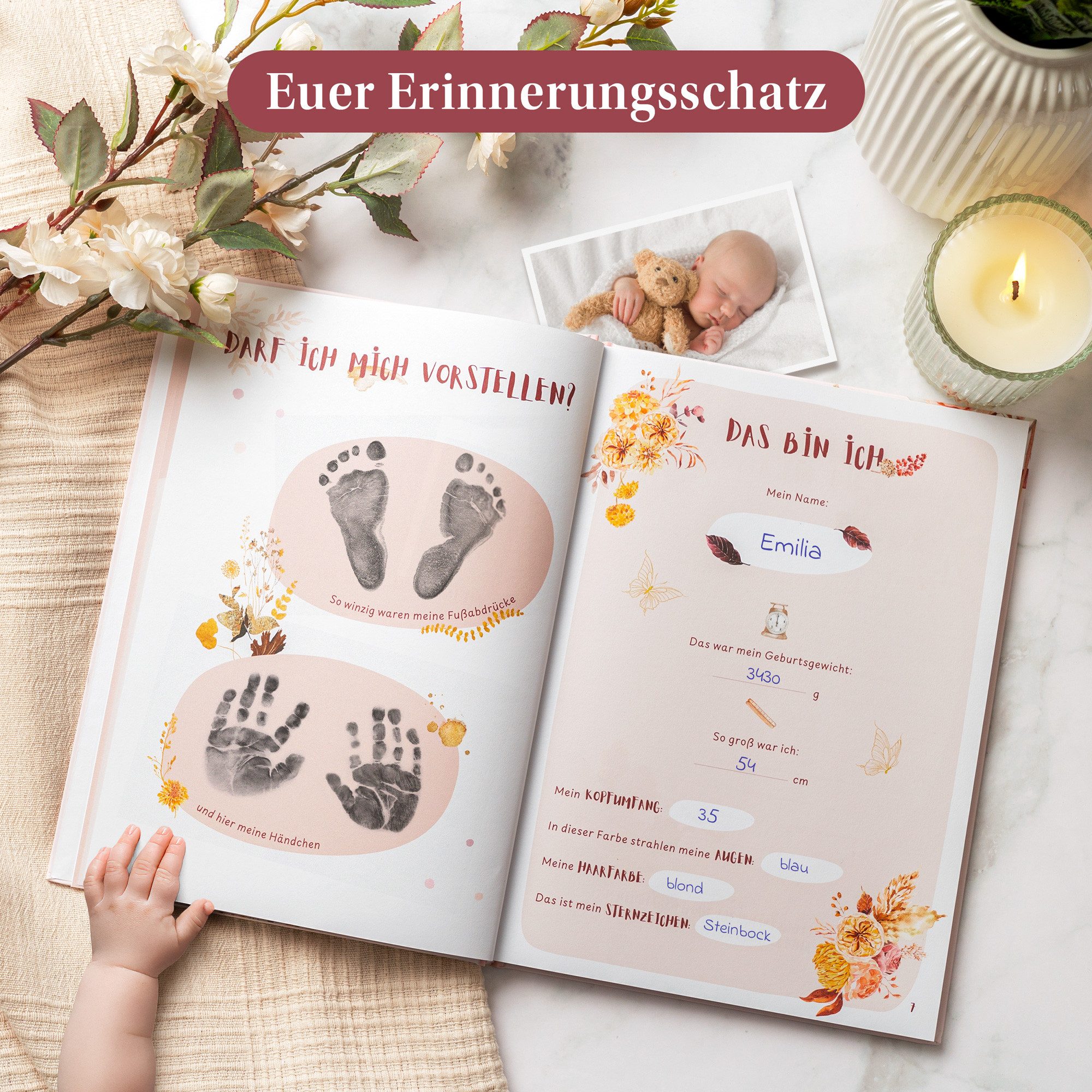 Eulentaler Tagebuch I Babyalbum I Mein erstes Jahr I Von Pädagogen gestaltet I handgemalte Illustrationen, viel Platz für Fotos & Erinnerungen, 84 Seiten