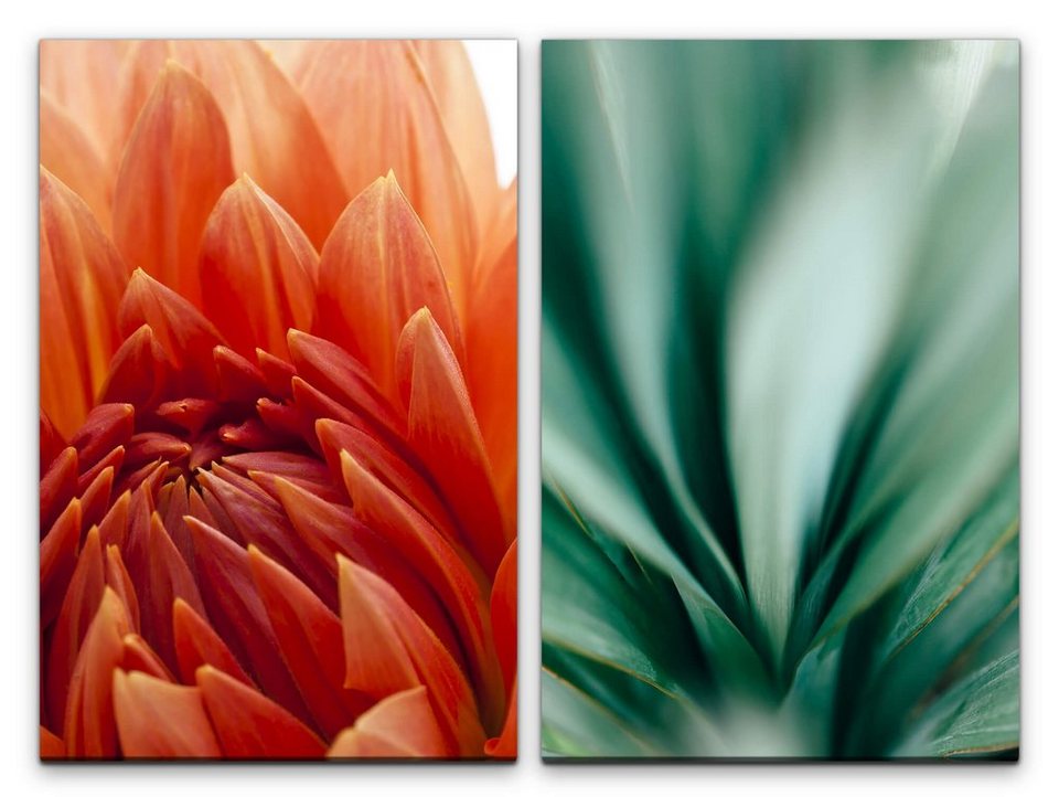Leinwandbild Kunst-Druck 100x50 Bilder Blumen & Pflanzen Blätter