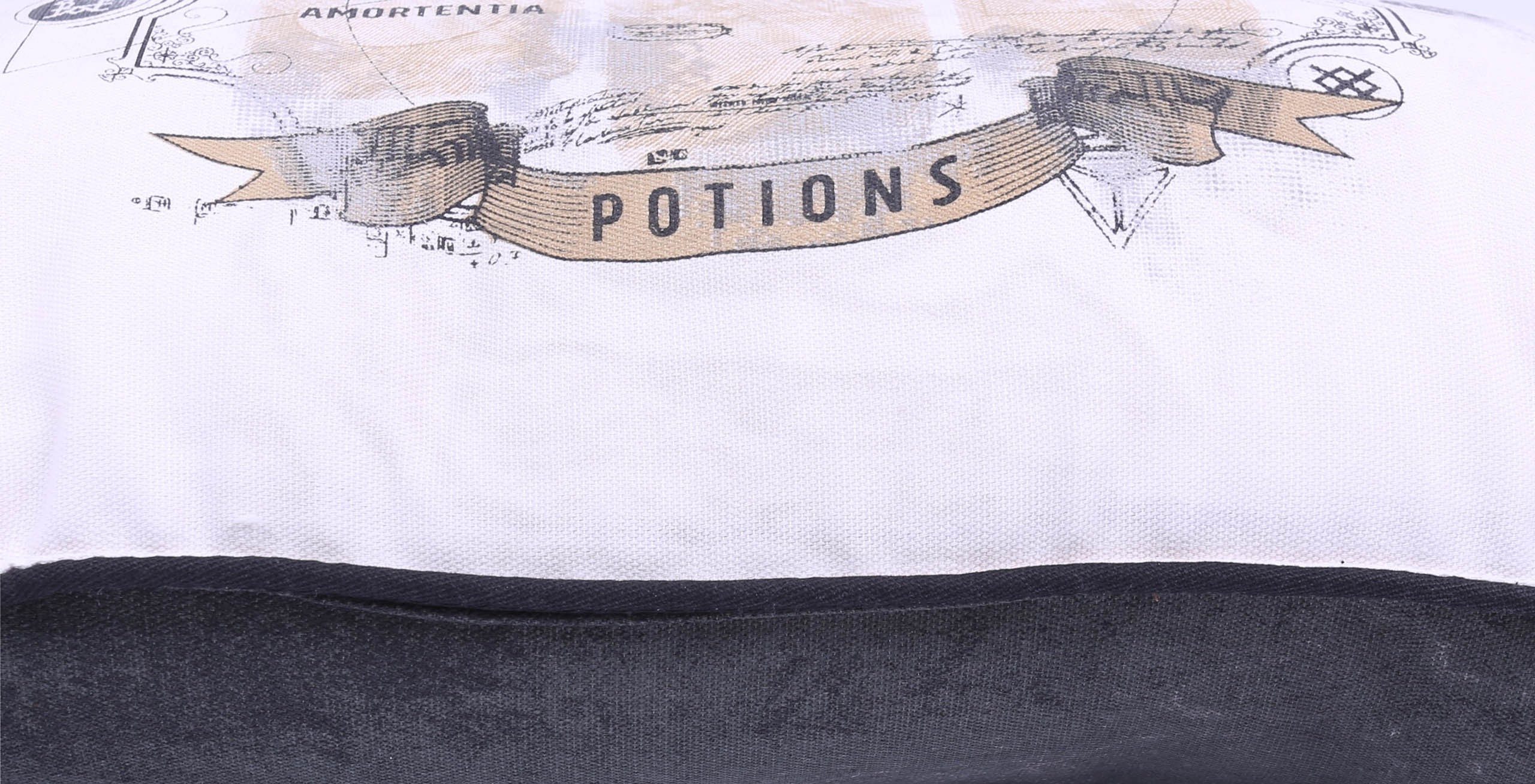 Harry Potter Kopfkissen Creme-Khaki Kissen HARRY POTTER