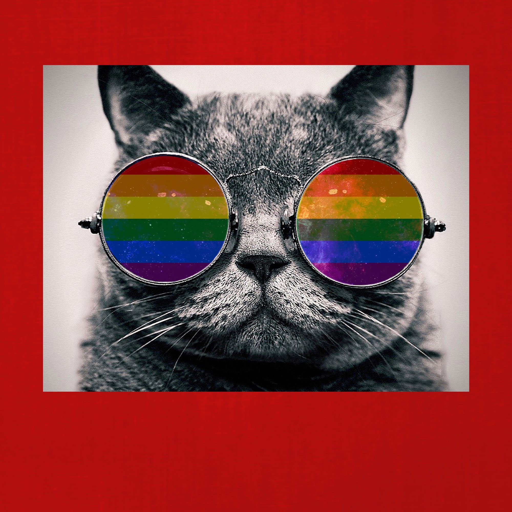 Stolz Pride Kurzarmshirt (1-tlg) LGBT Katze Quattro Gay Rot T-Shirt Regenbogen Herren - Formatee