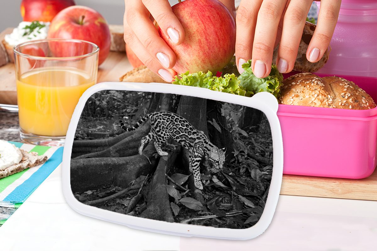 Schwarz Ozelot Weiß, Kinder, Brotbox Costa in Lunchbox Rica für Kunststoff von Erwachsene, Brotdose Dschungel Kunststoff, rosa (2-tlg), MuchoWow Snackbox, und im Mädchen,