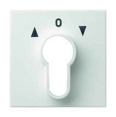 GIRA Schalter, Schlüssel Abdeckung Jalousie reinweiß glänzend Symbol Pfeile